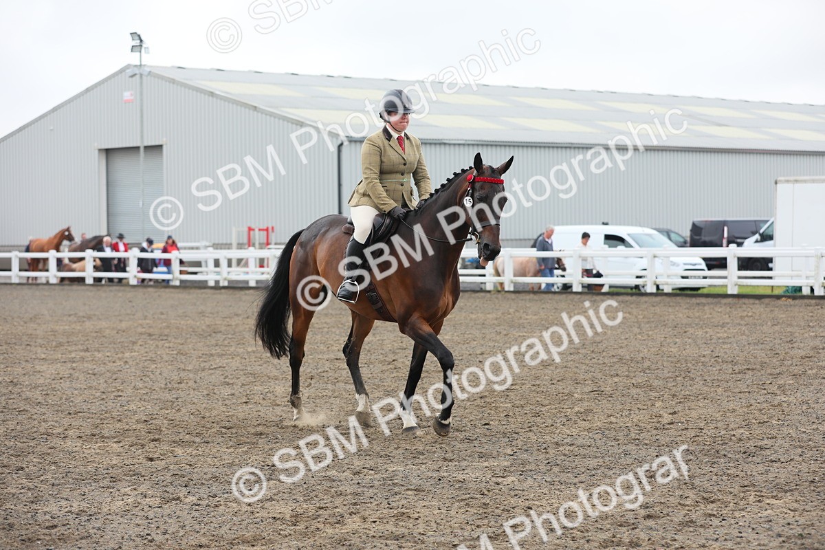 SBM_21317 - Class 805 - Ridden Veteran Horse