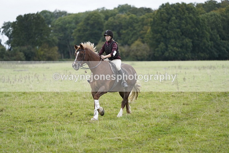 _DSC8014 - Time at Photographer 11:57 to 12:36