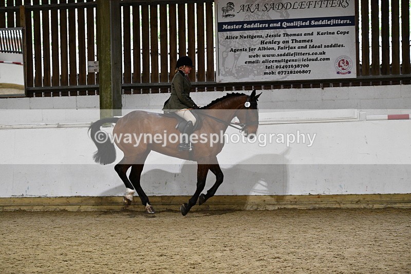 WJ5_8867 - Class 15 Ridden Show Horse