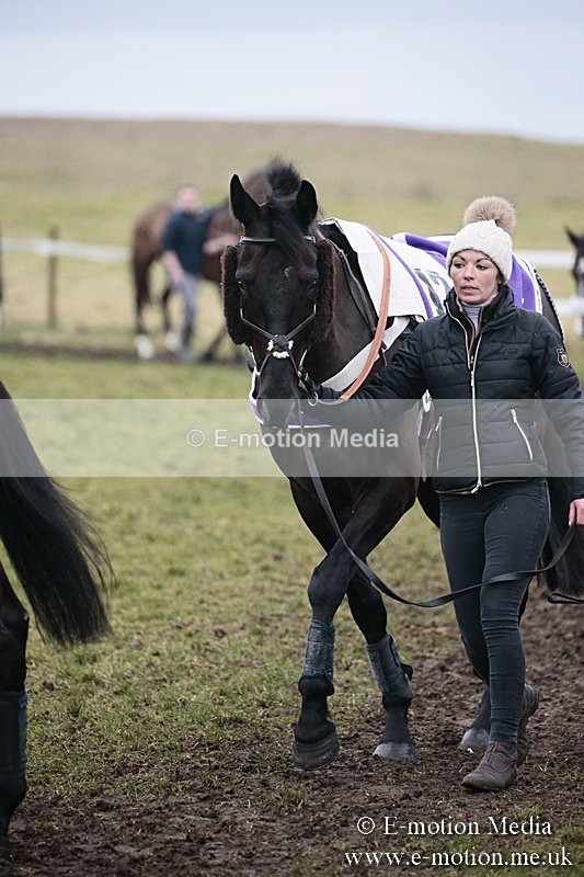 PtP 180218 678 - Combined Services Point-to-Point Larkhill 18/02/18