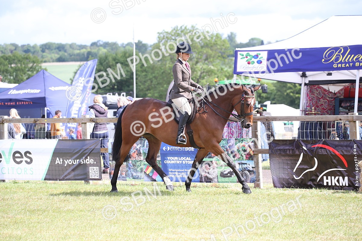 SBM_13187 - Class 95-96 - LIHS BSHA Rising Star Hack Riding Horse