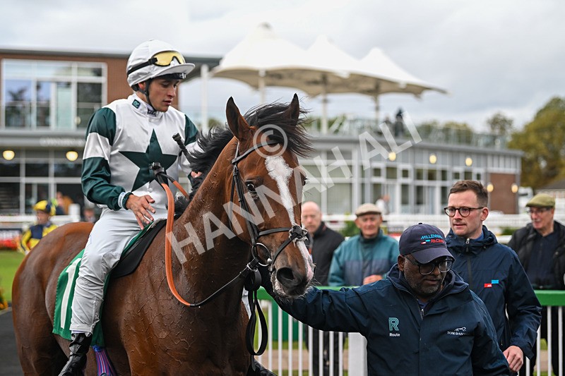 150925-Race 4-Hockney-2819 - Race 4