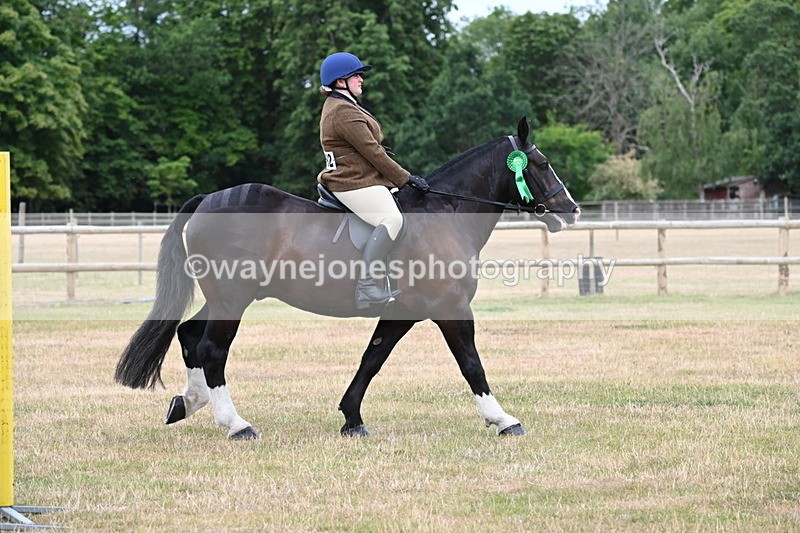 WJ6_4093 - Class 9 Tack & Turnout