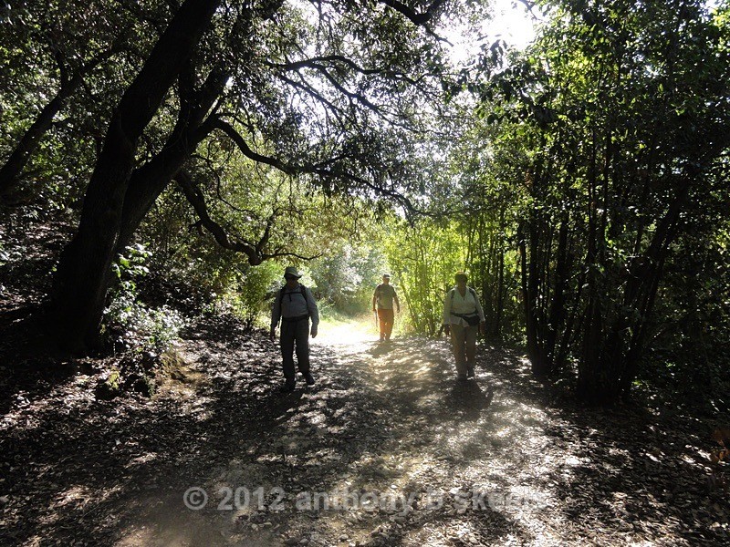  - The Via Francigena  Collection Part Two  2019