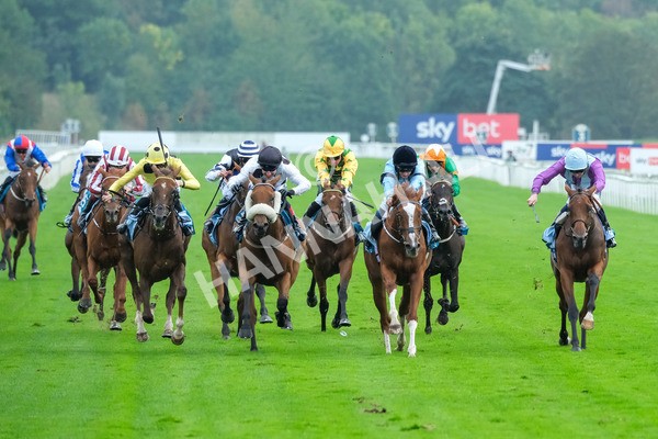 080925-Race 6-Rhapsody-9606 - Race 6 5.00pm Sky Bet Build A Bet Fillies' Handicap
