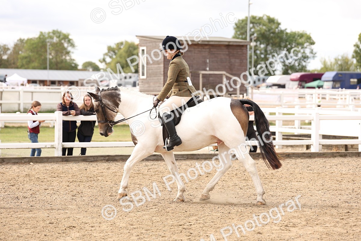 SBM_04292 - Class 54 - Riding Club Horse/Pony