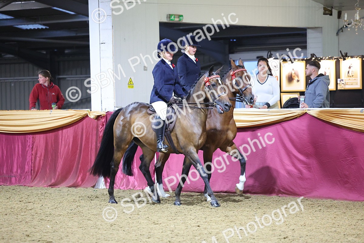 0B8A4342 - Class M Ridden Pairs Champ