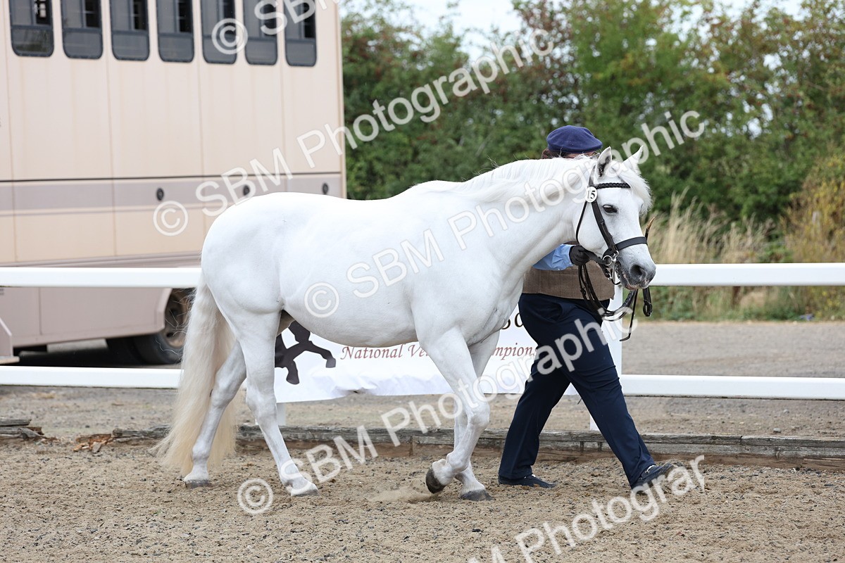 SBM_00006 - Class 50 - Best Turned Out IH