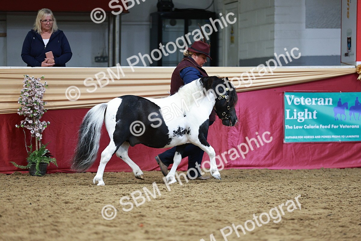 SBM_01181 - Class 3A - Area IH Pre-Vet