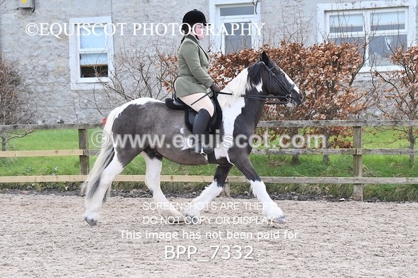 BPP_7332 - RING 1  (RIDDEN HORSES / IN HAND / VETERAN ETC)