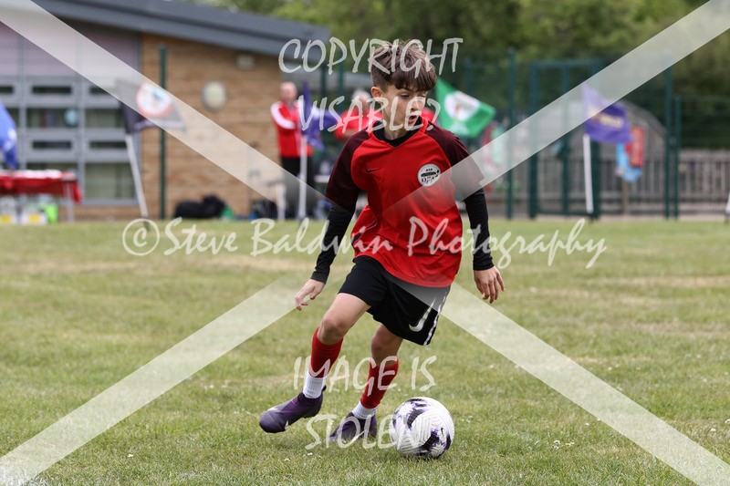 1DX30901 - Brook Field V Goddard Park