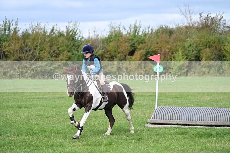 WJ7_8409 - 60cm Pairs