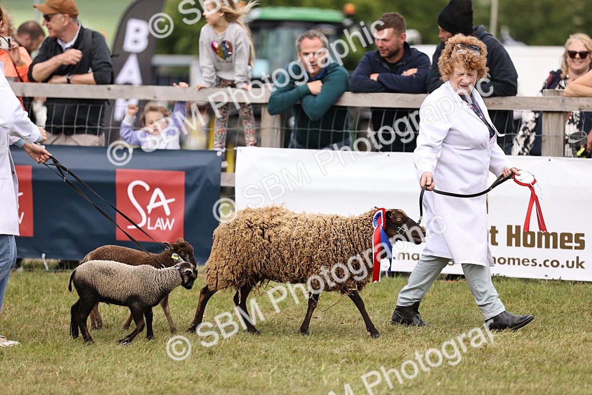 SBM_16866 - Grand Parade