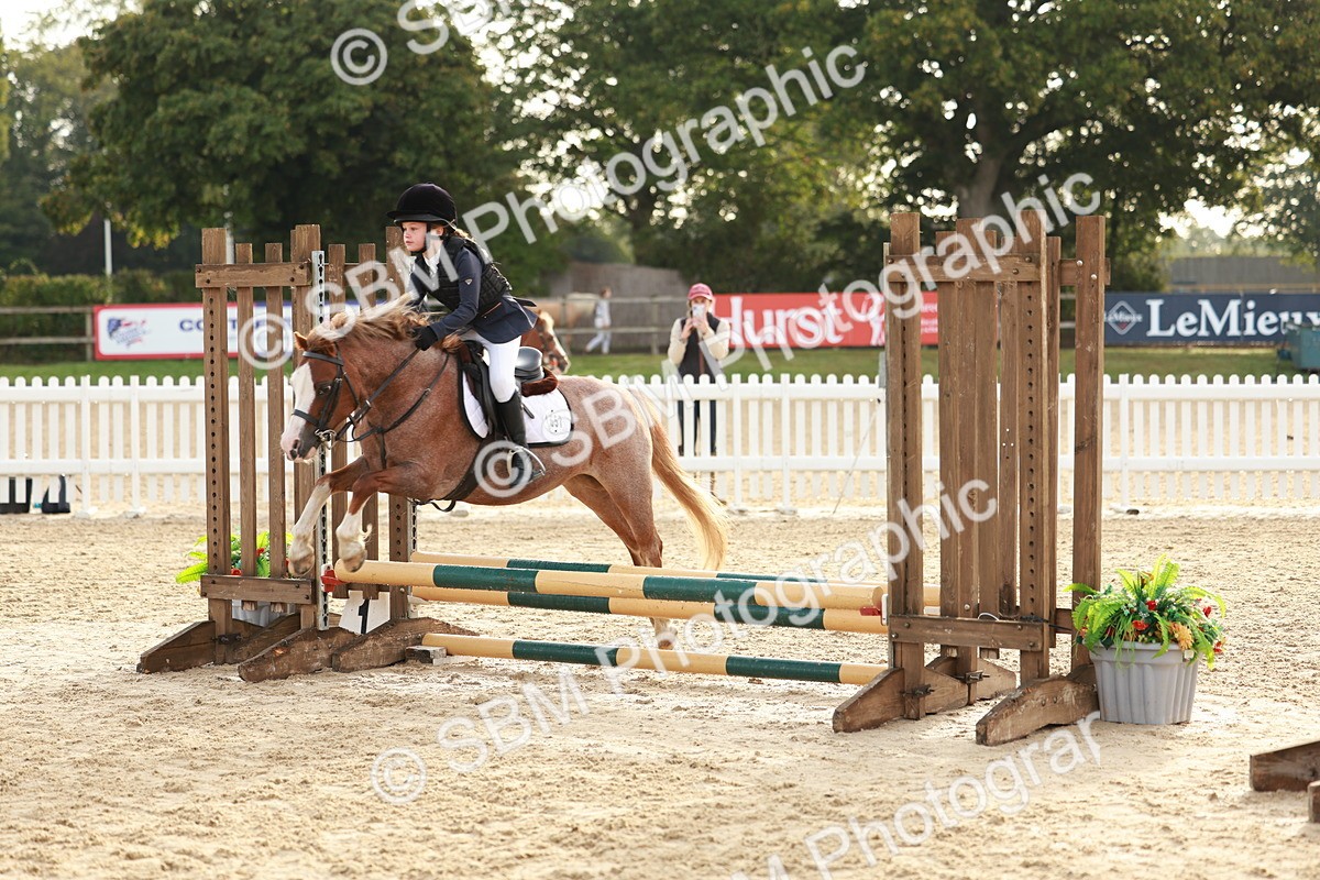 SBM_55537 - J11 - Junior Pony 50cm Championship
