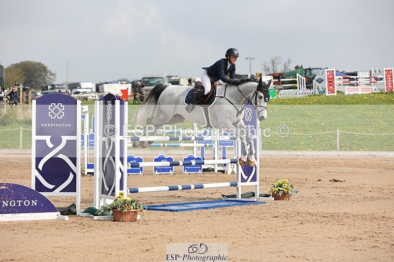 250424-104658-03228 - Cls 33 Young Horse 7yr old