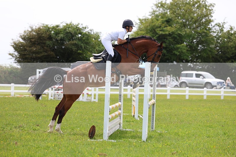3E7A1498 - Class 13: Senior British Novice/90cm open