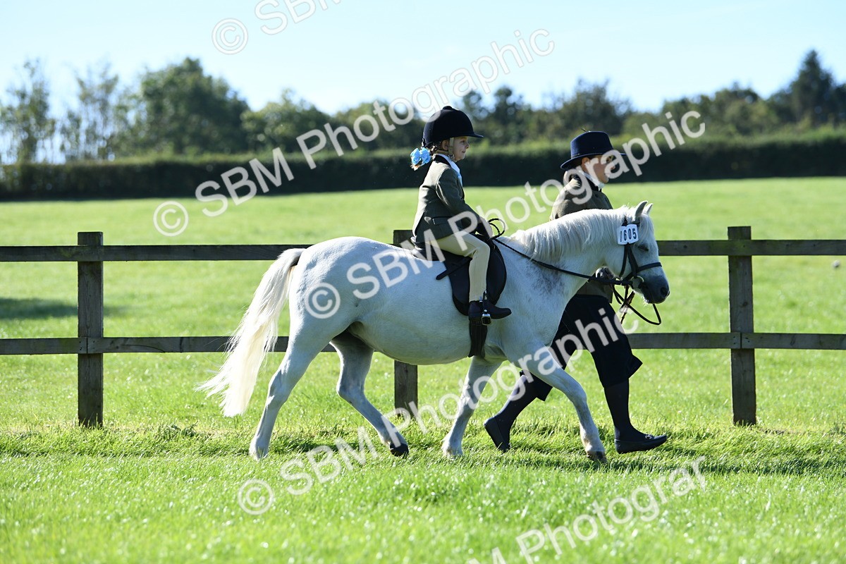 SBM_36772 - S18 - Novice & Newcomers Lead Rein Pony