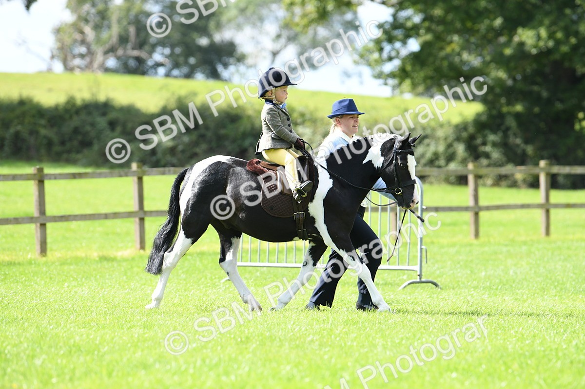 SBM_41163 - S19 - Lead Rein Show & Show Hunter Pony