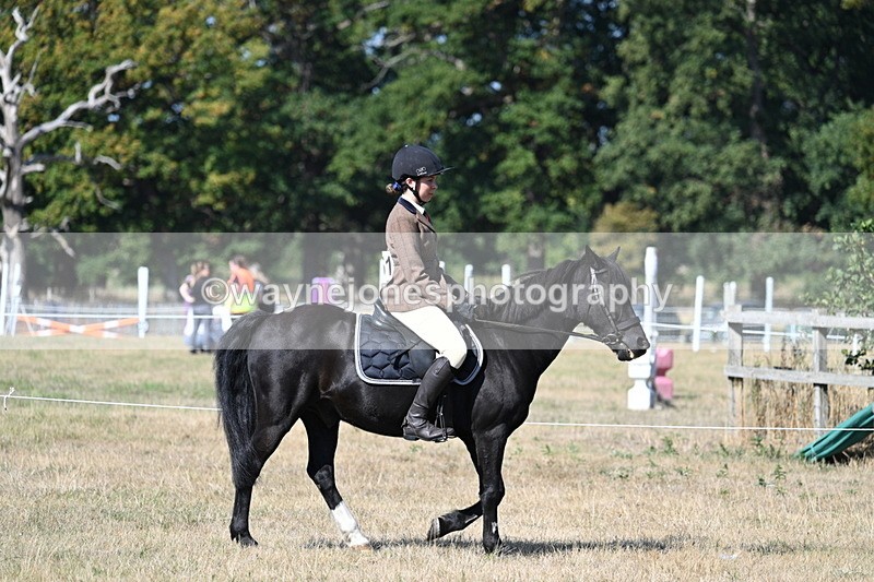 WJ7_3436 - Class 9 Mountain & Moorland Ridden