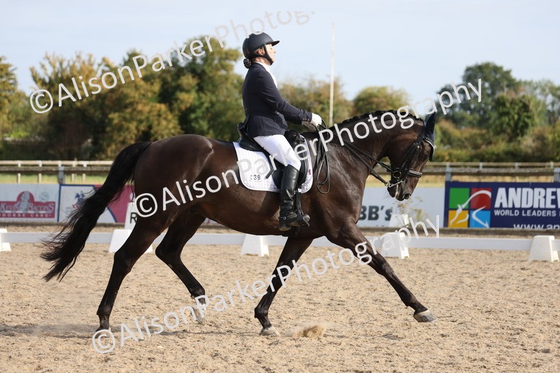 20250820-1670 - Class 22 - Advanced Medium 6