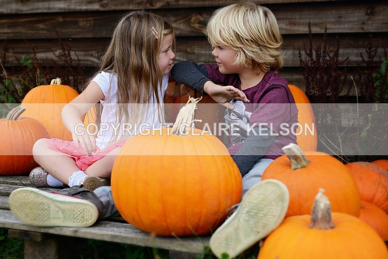 DSC_8804-5 - SEASONAL OUTDOOR SHOOTS - PUMPKINS