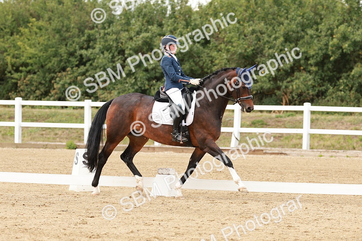 SBM_002182 - Class 11 - Medium 6