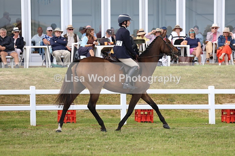 3E7A2336 - Class 11: Retraining of Racehorse