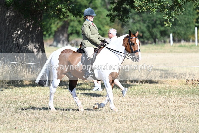 WJ7_3123 - Class 8 Ridden Tack & Turnout