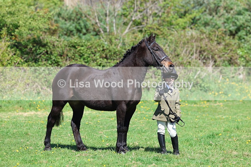 3E7A9867 - Class 17: Young Handler