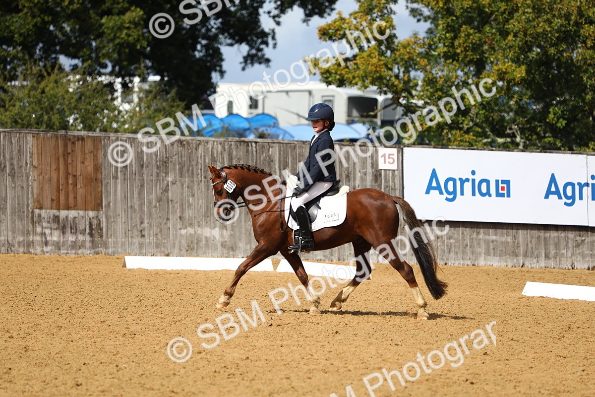 SBM_42669 - D21 - Junior Championship Intro 1