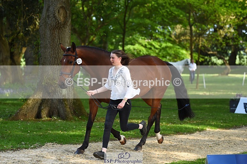 230524-171606-01391 - 171-SLANEYSIDE_COOLEY-Lara_Chapple-WEDTrotUp+DR
