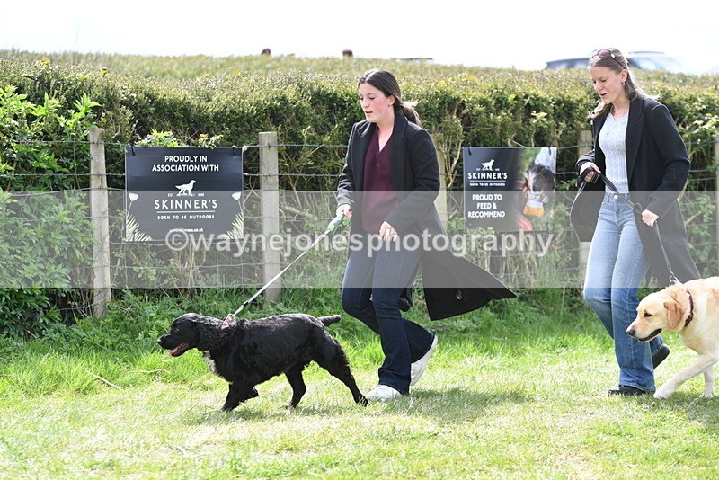 WJ5_9830 - Class 3 Most Handsome Dog