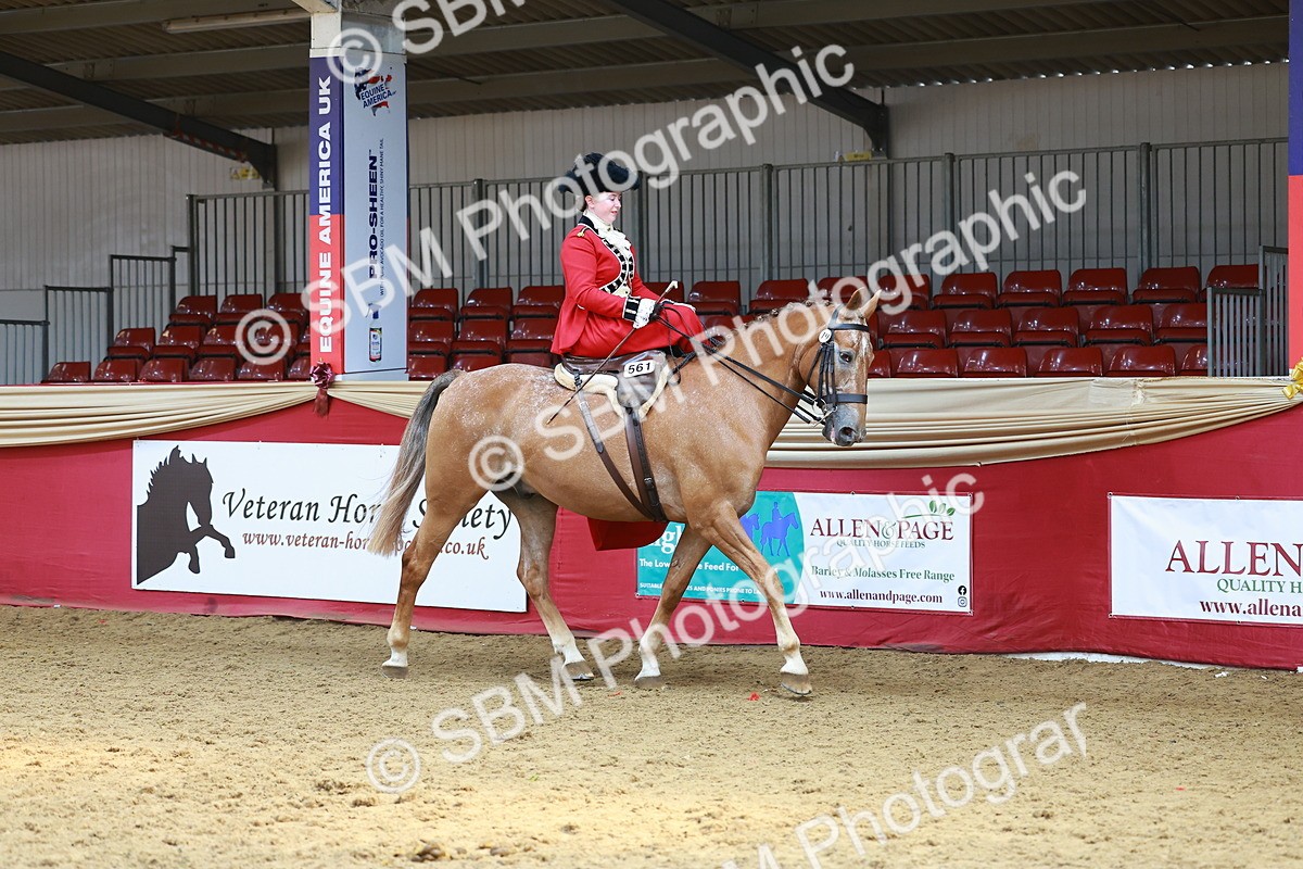 SBM_13857 - Class 106 - Ridden Costume - Side Saddle