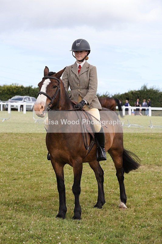 1X9A4071 - Class 32: Show Hunter Pony 153cm and under