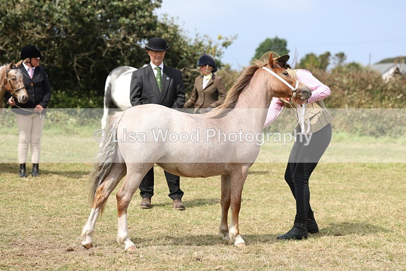 3E7A5410 - Class 19: Best Coloured in Hand