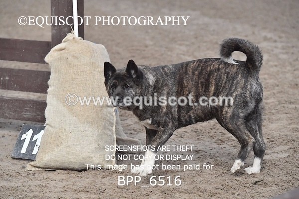 BPP_6516 - CLASS 1 60CM