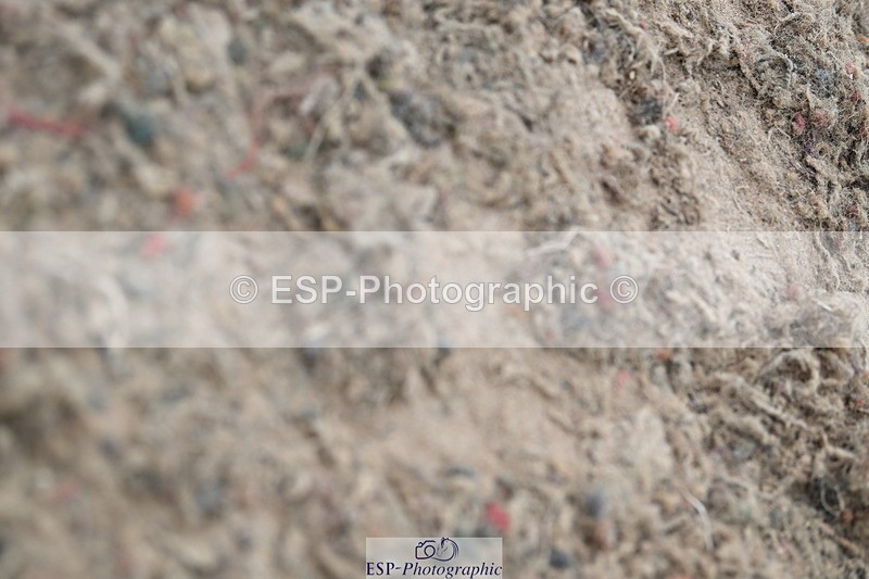 240609A-105333-04189 - Cls 22 Pony Discovery 2nd Round