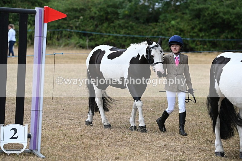 WJ6_7916 - Class 10 Coloured in Hand