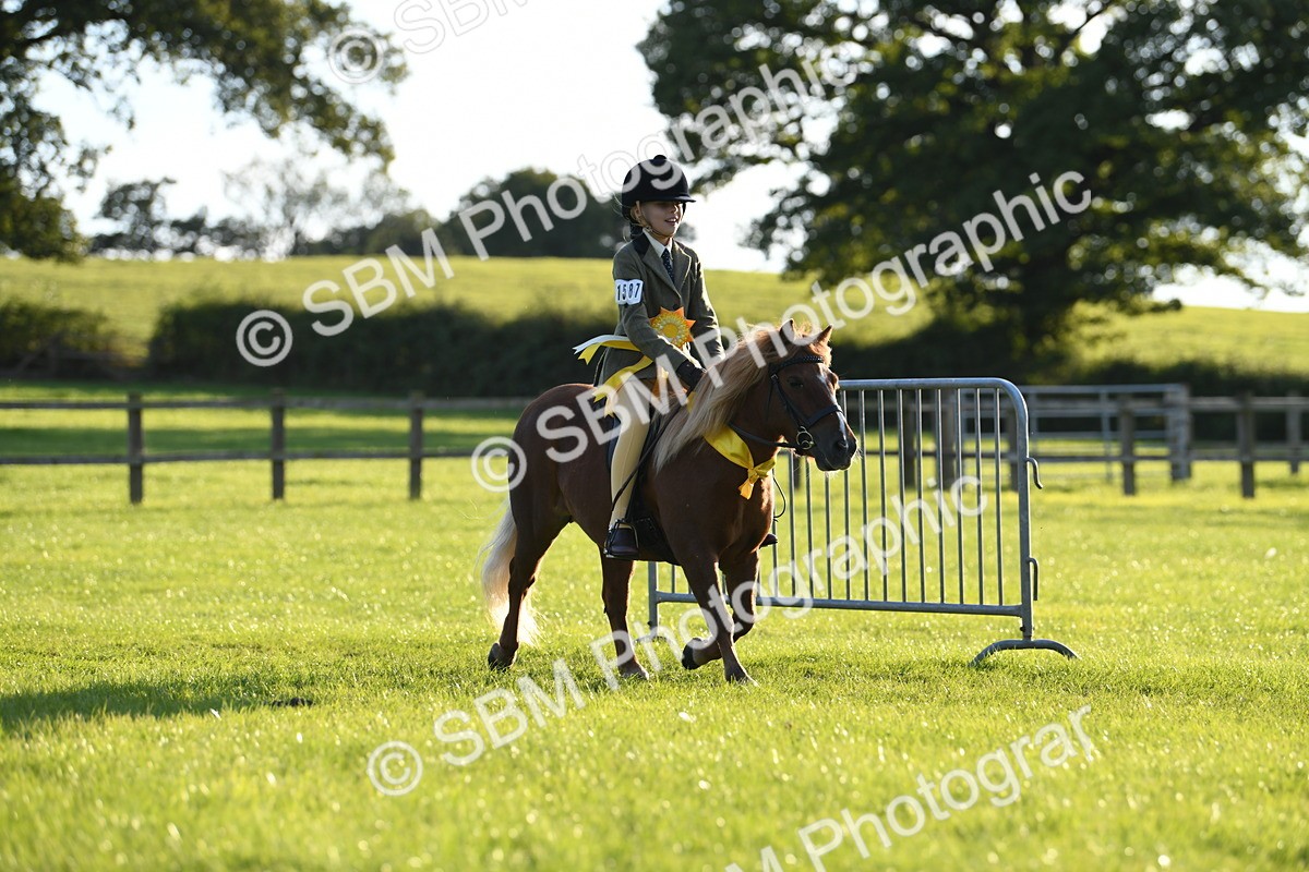 SBM_54198 - S23 - 1st Ridden Mountain & Moorland Pony