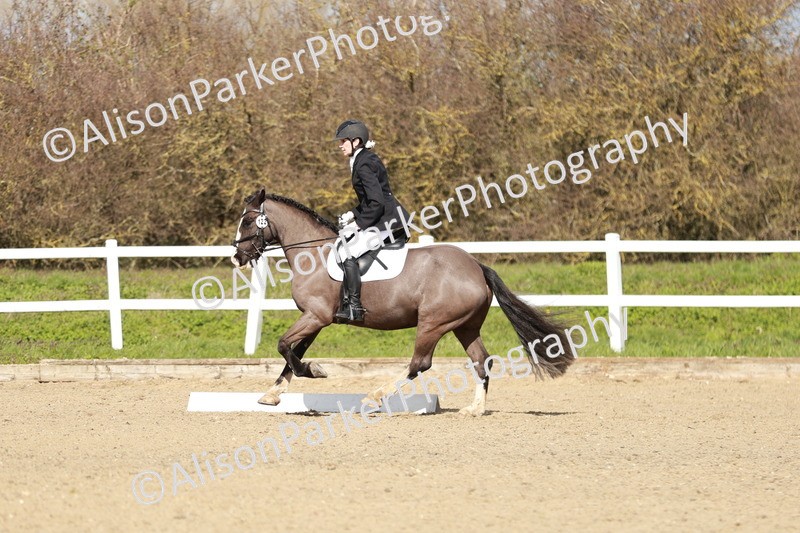 20260314-2952 - DR3 - Prelim 1