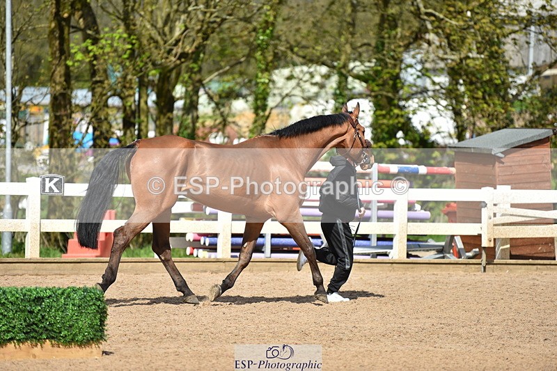 240417A-144550-00638 - 2pm to 3pm