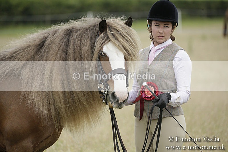B230619-0849 - Bourne Valley Riding Club Summer Show 23/06/19