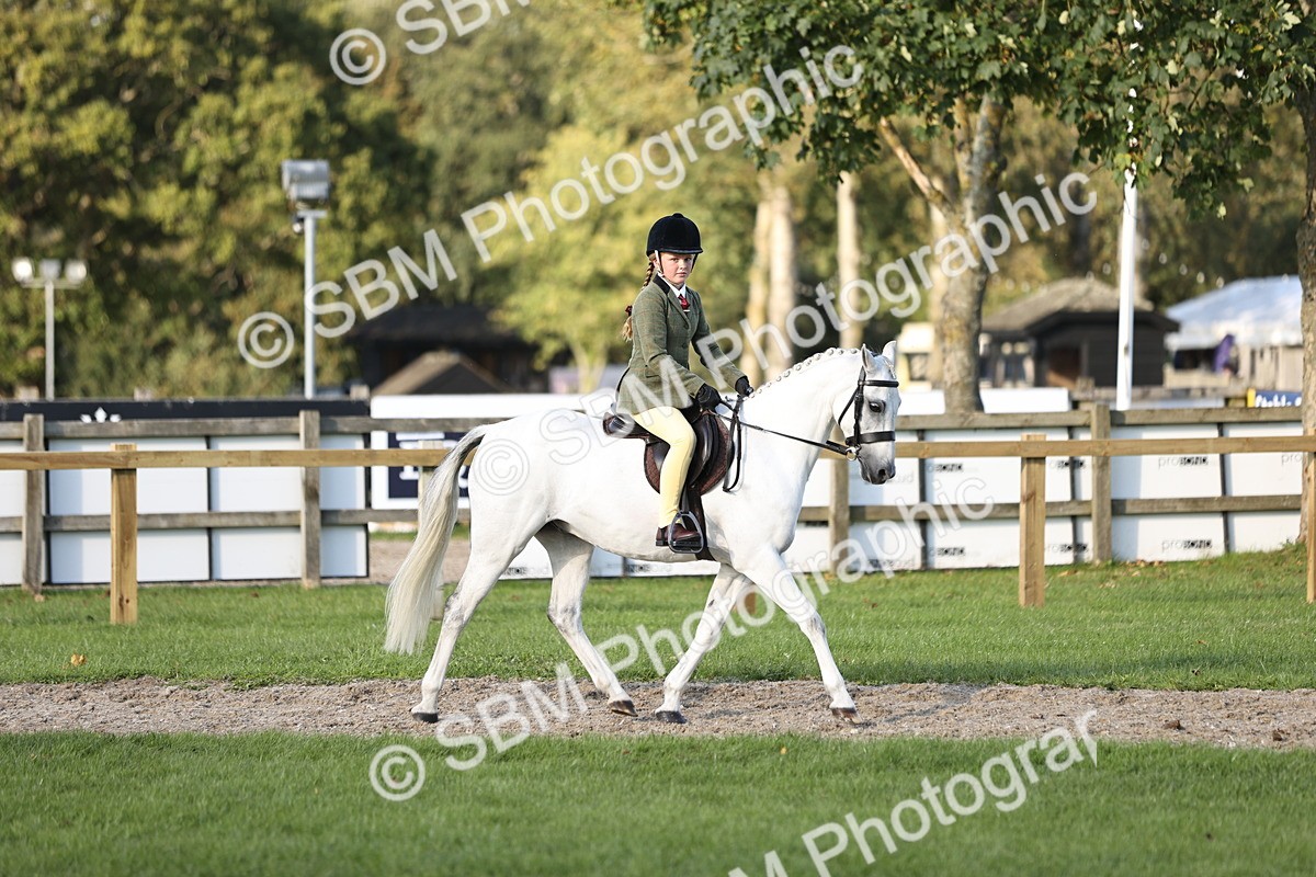 SBM_29455 - S7 - Novice & Newcomers Ridden Pony