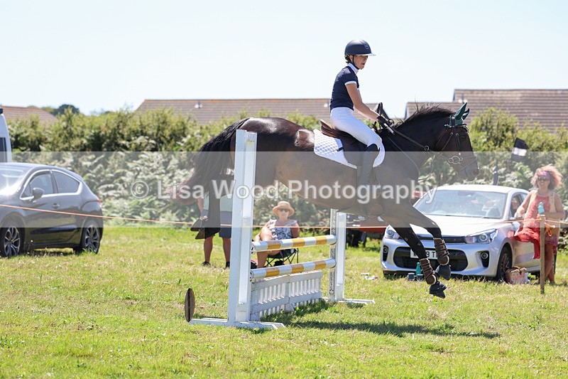 3E7A5508 - Class 9: Senior British Novice/90cm open