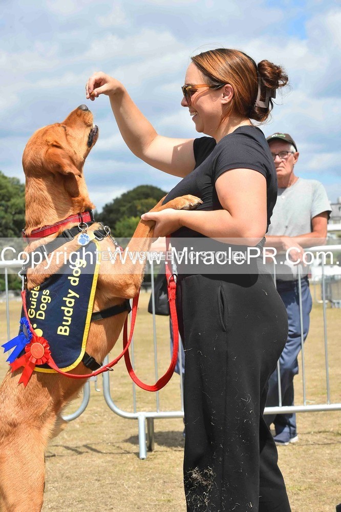 SH4_0262 - Dog show.