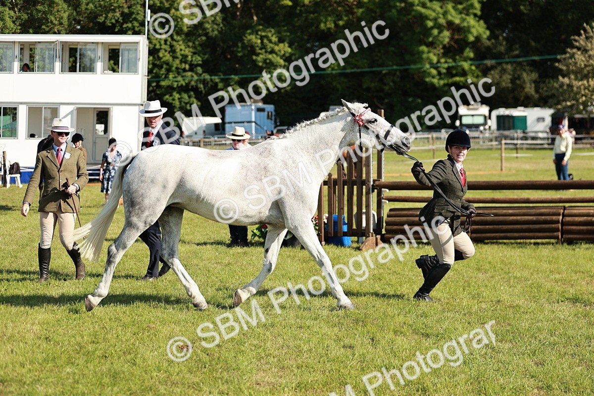SBM_19316 - Class 115-116 - LIHS BSHA Rising Star Working Hunter & Show Horse