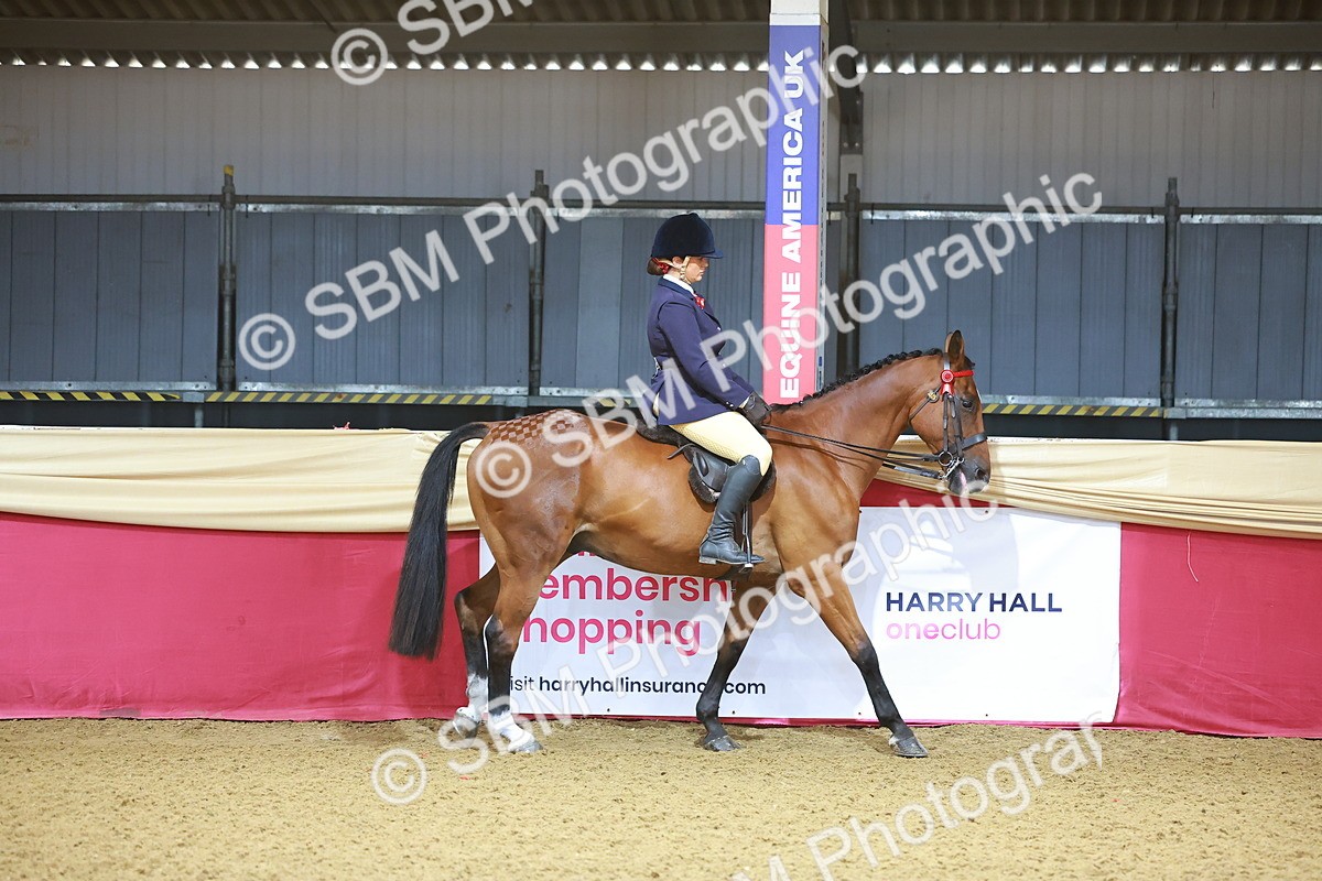 SBM_07535 - Class 101 - HOYS Veteran Qualifier - Ridden Diamond