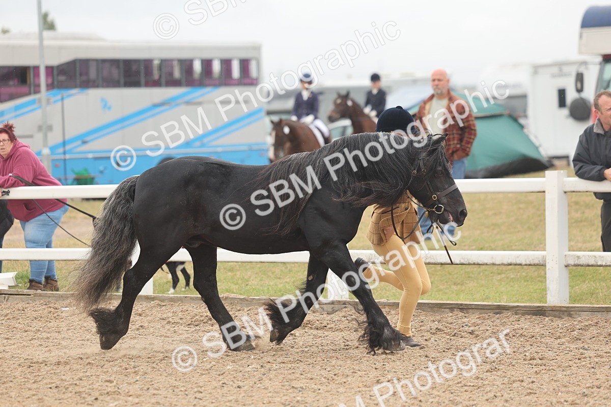 SBM_00481 - Class 13 Young Handler