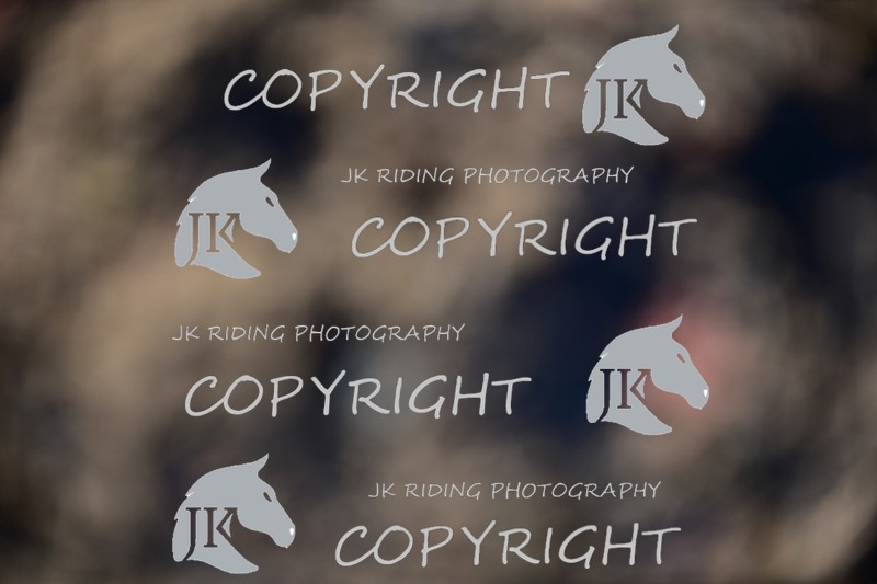 SBP_0865 - 10am - 11am