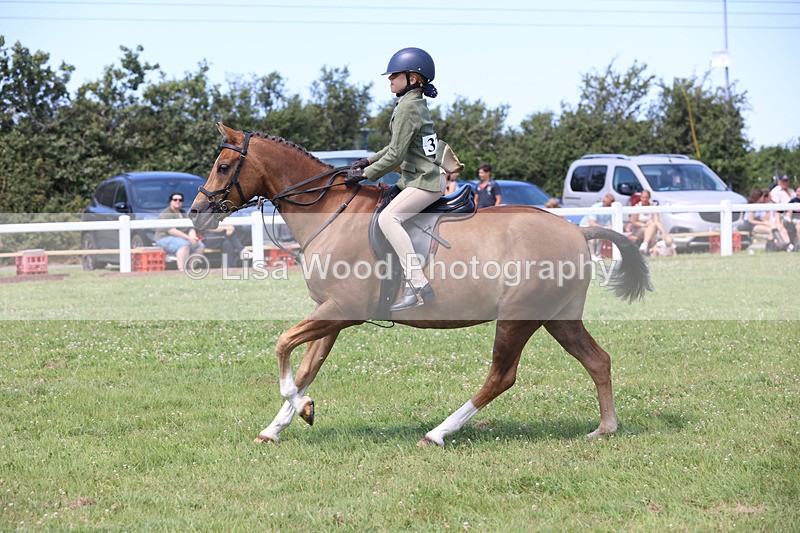 JPP_2660 - Class 21: Working Hunter 60cm
